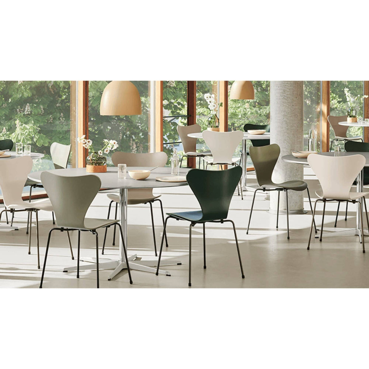 SERIES 7™ 3107 | Coloured Ash | Fritz Hansen | Skandium London