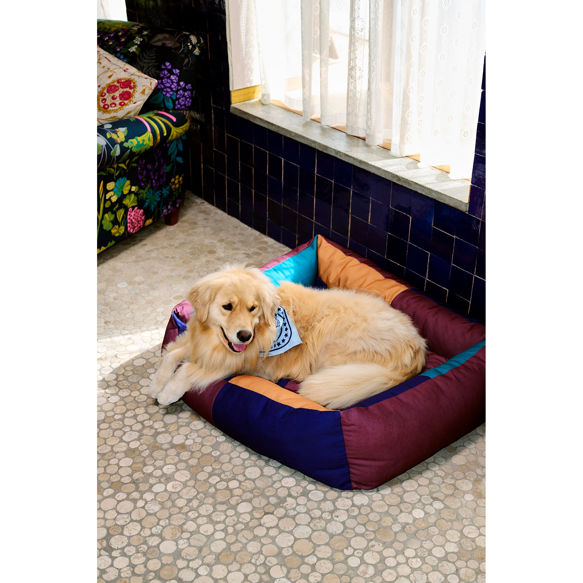 Buy dog bed online best sale