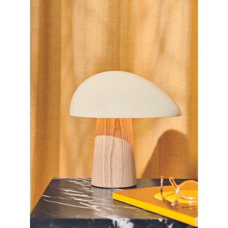 Fritz Hansen Lighting - Fritz Hansen Night Owl table lamp - Skandium London