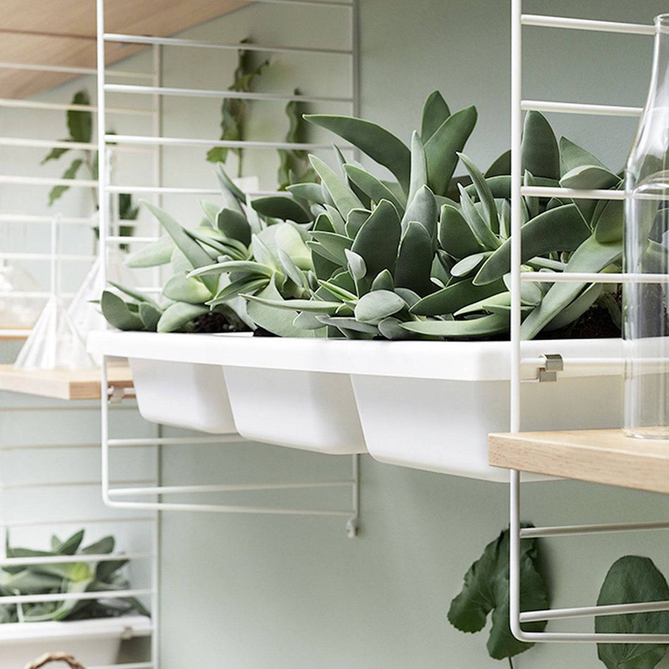 String - Bowl Shelf - Skandium London