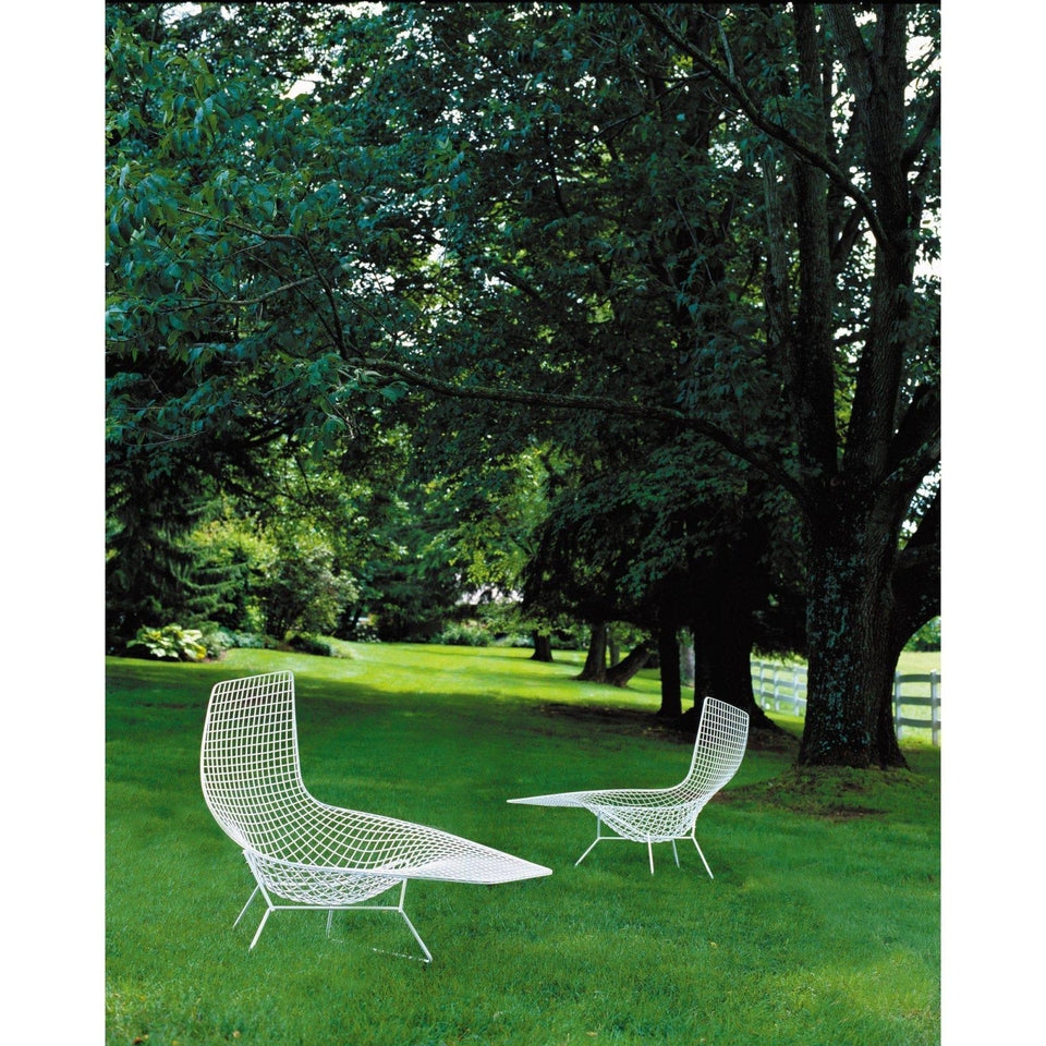 Chaise bertoia online diamond