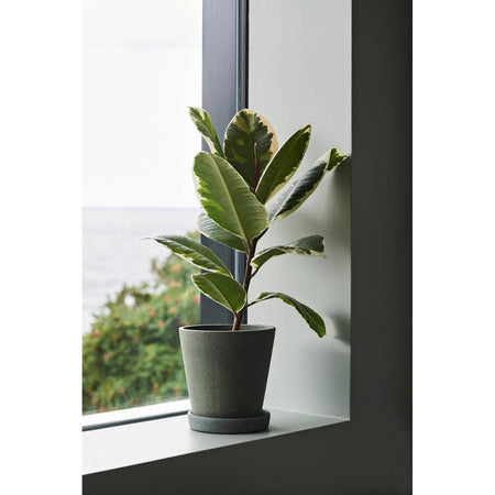 Flowerpot with Saucer | HAY | Skandium London