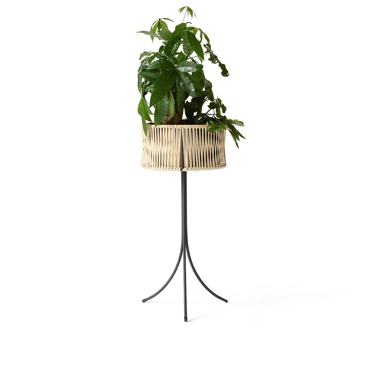 Umanoff Planter | Menu | Skandium London