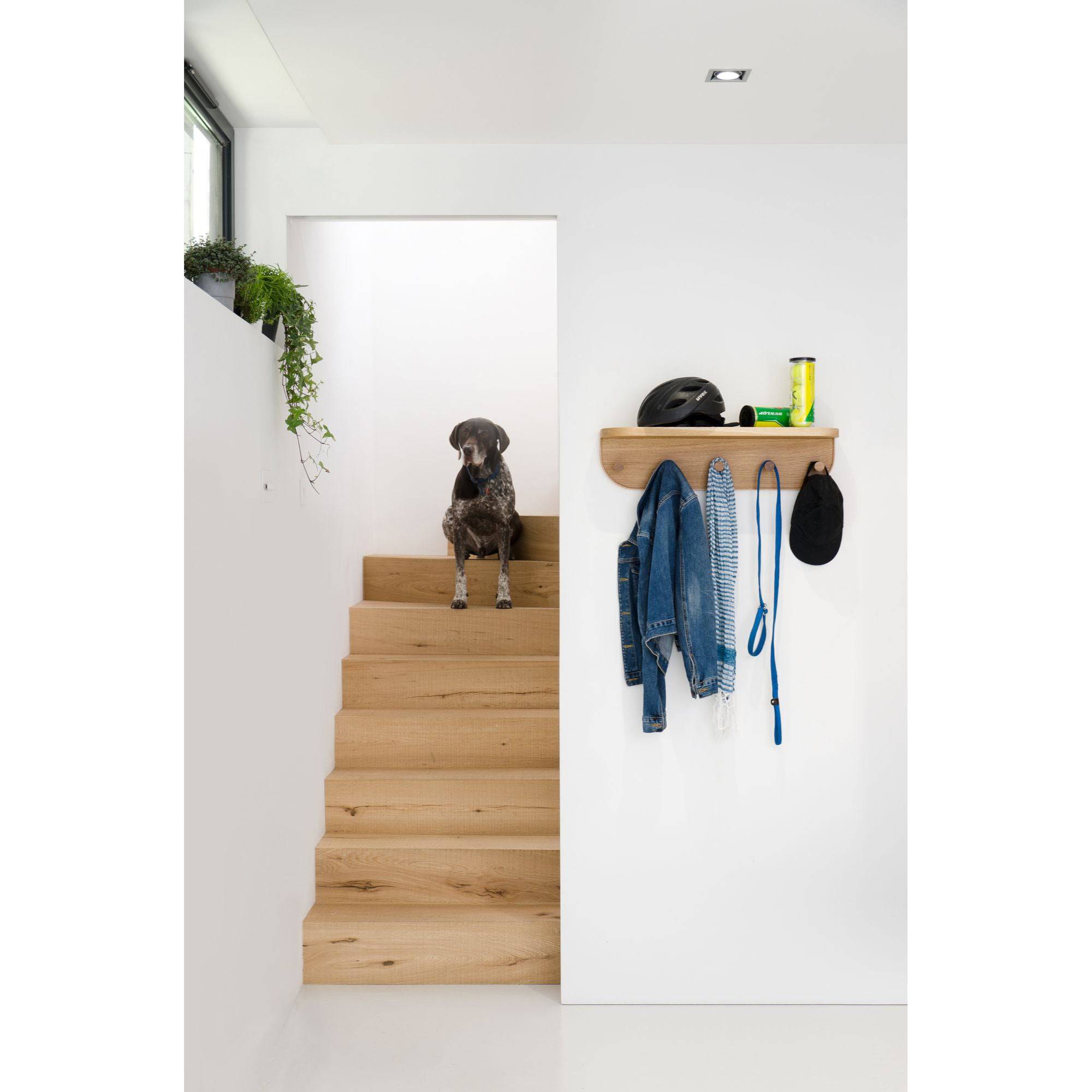 Wireworks - Nook Five Hook Shelf - Oak - Skandium London