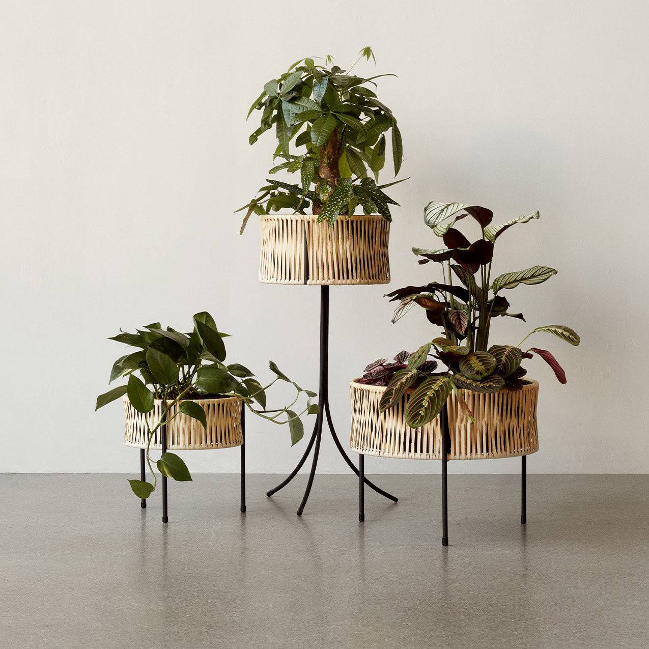 Umanoff Planter | Menu | Skandium London