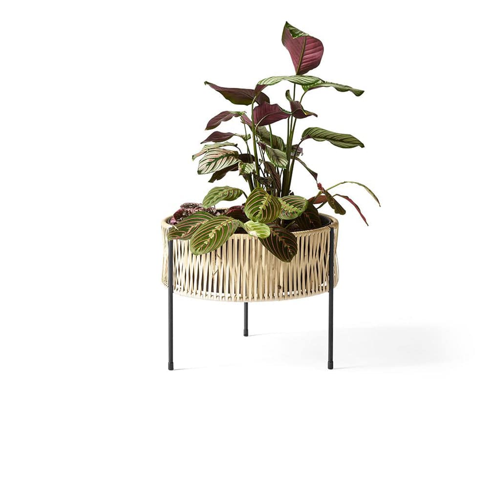 Umanoff Planter | Menu | Skandium London